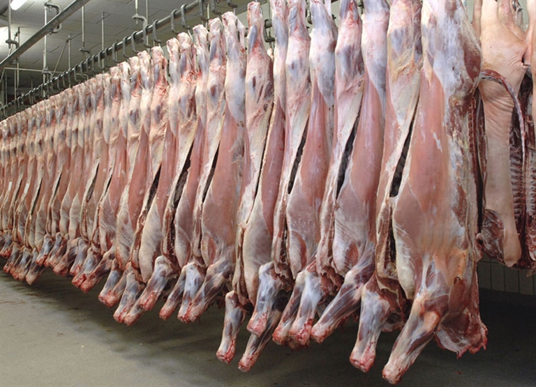 การทำความชื้นในโรงฆ่าสัตว์