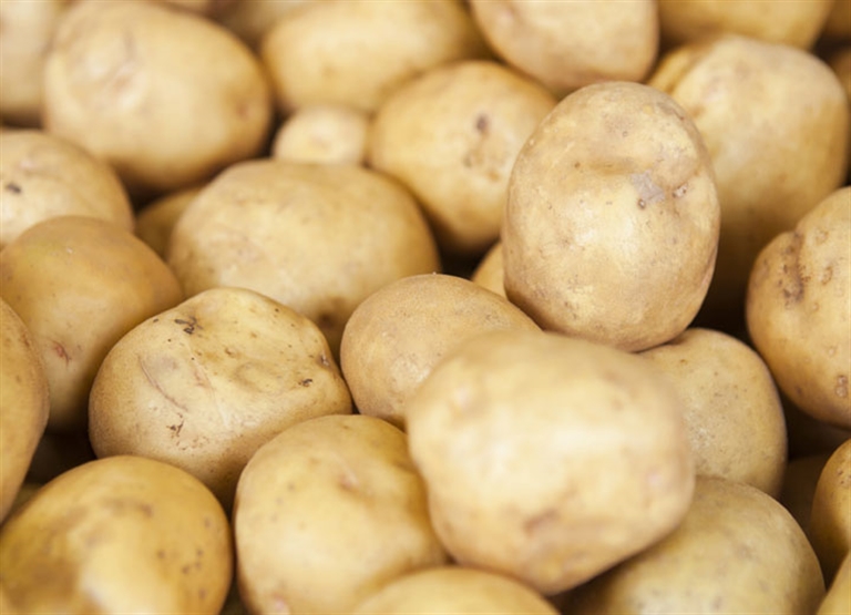 การทำความชื้นในสถานที่เก็บพืชผล