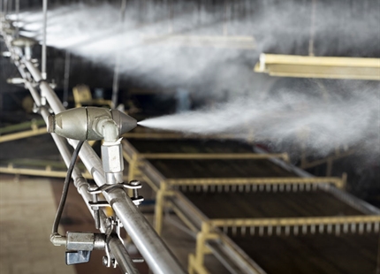 Humidifiers enhance fermentation at Bajrang Tea, India
